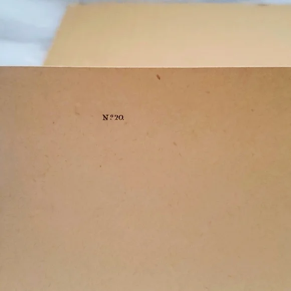 JOHN JAMES AUDUBON (1785-1851) "Columbia Jay, No. 20” Print 1948 - Picture 4 of 11